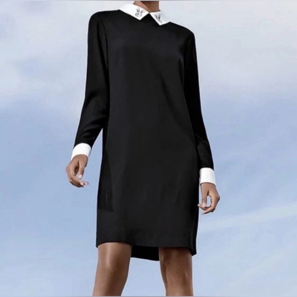 Chic Black Dress with White Collar